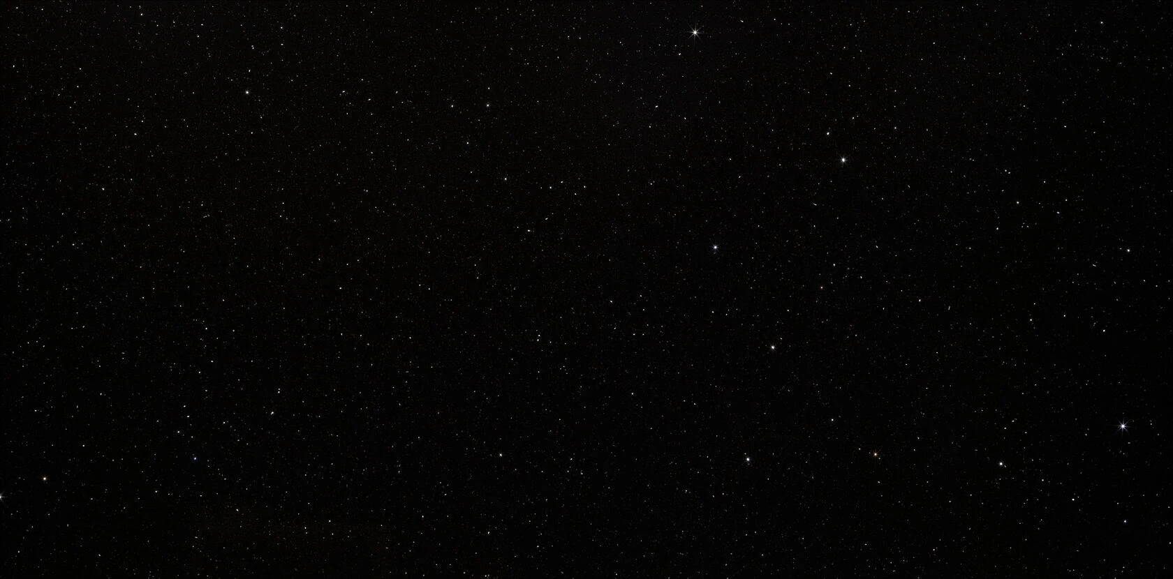 Gala Black