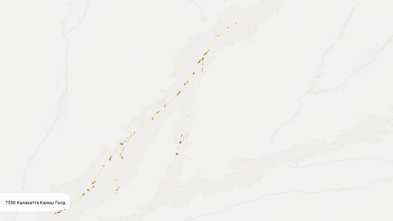Калакатта Канны Голд (М) [КАЛАКАТТА]