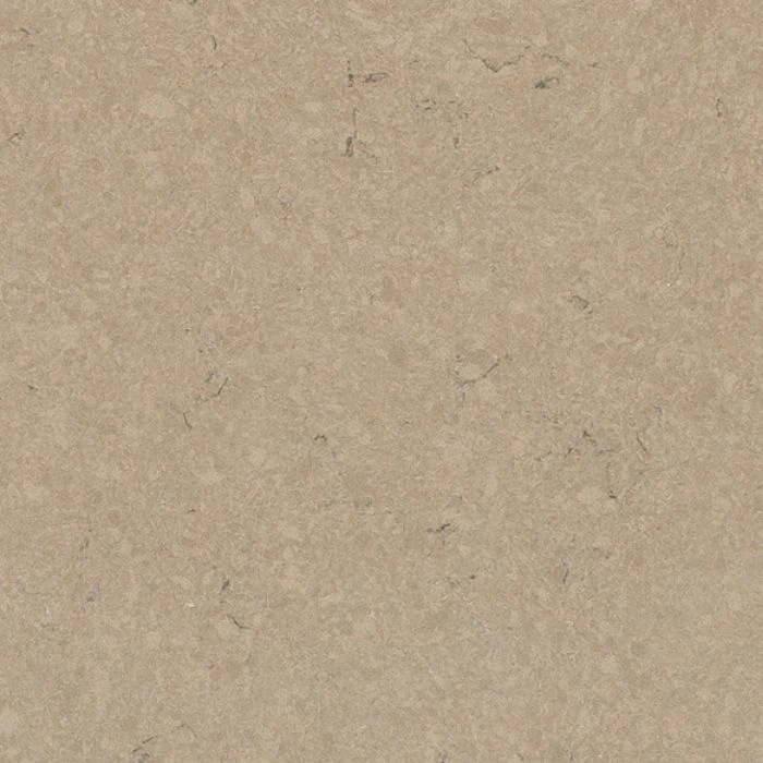Boletus — Radianz