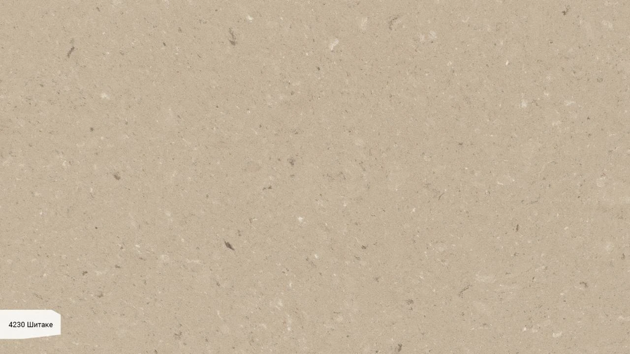 Shitake — пример работы