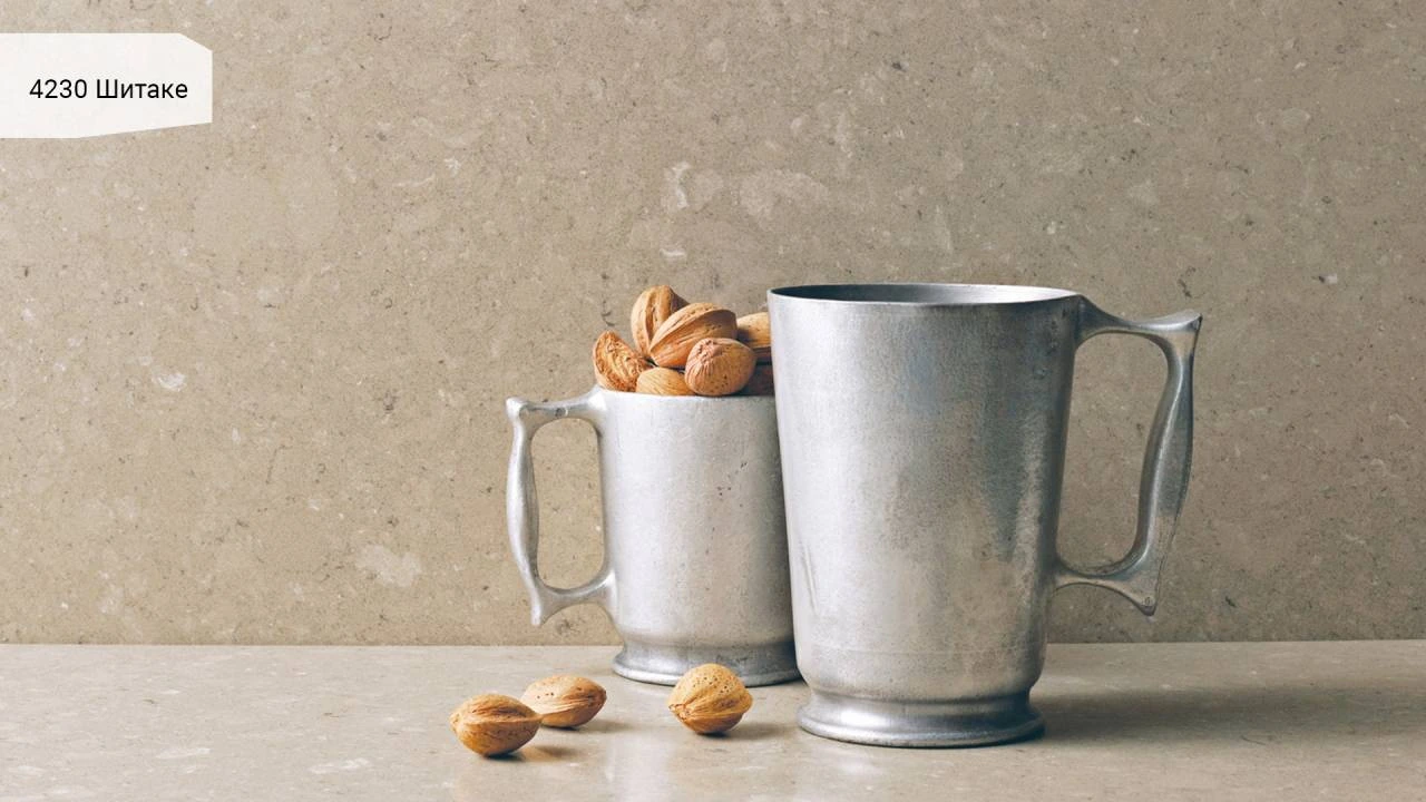 Shitake — пример работы