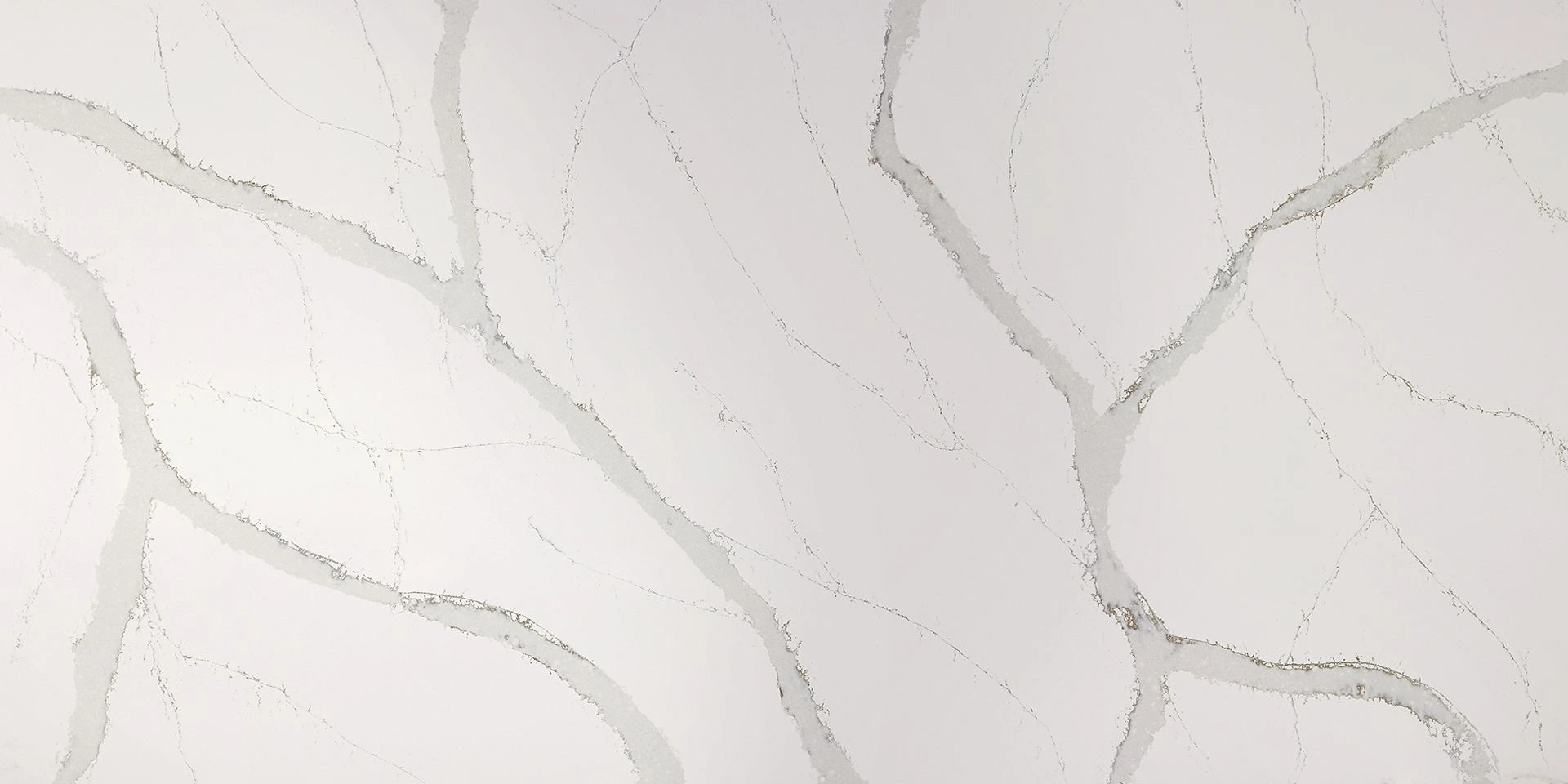Calacatta Oro — Quantra
