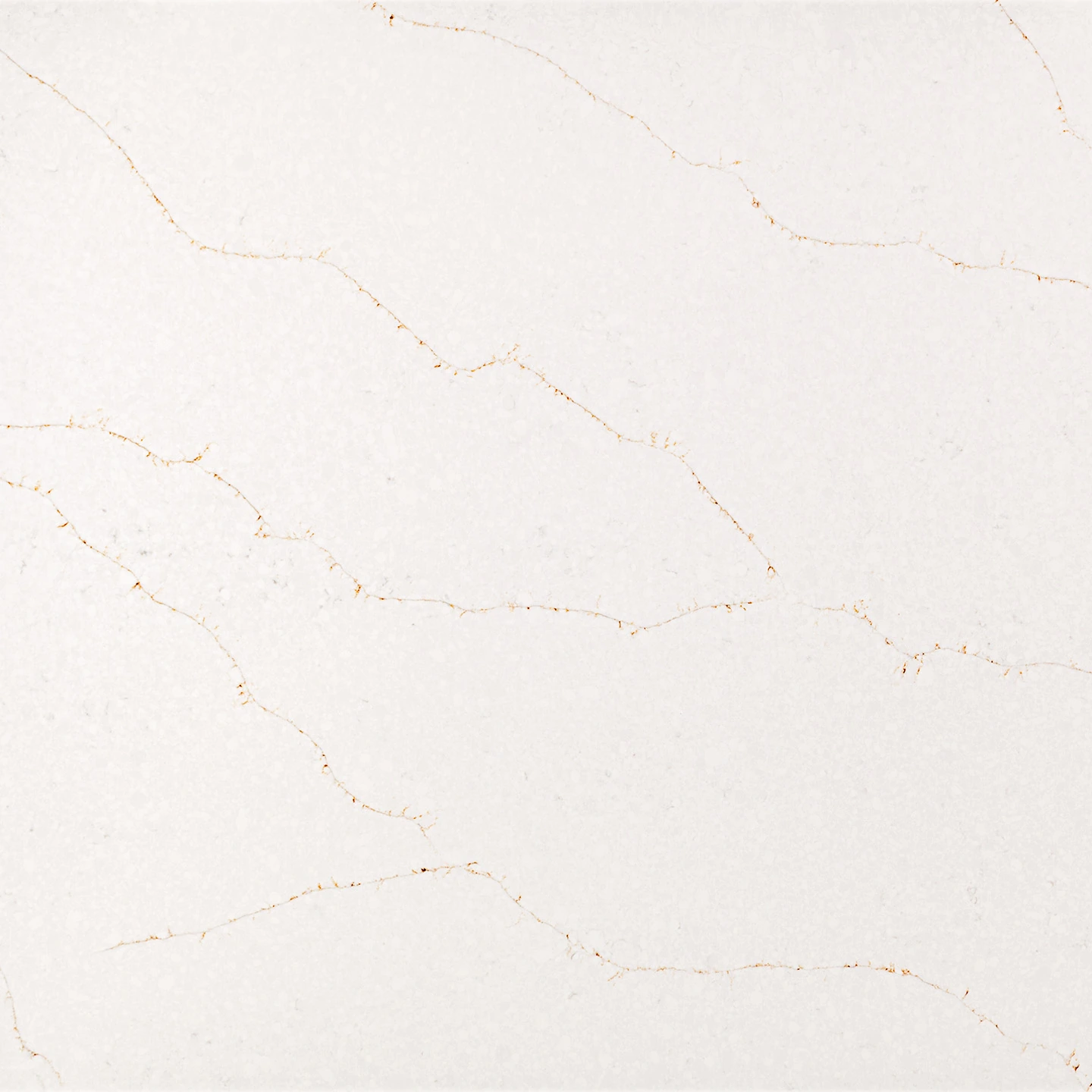 CALACATTA VIVALDI GOLD