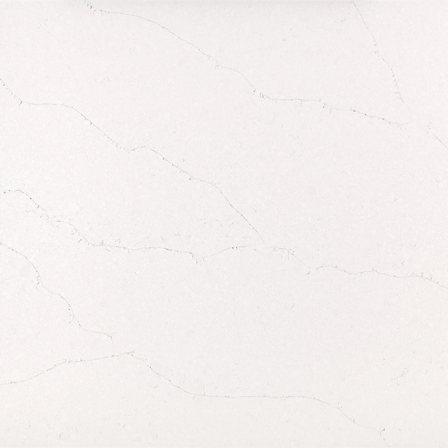CALACATTA VIVALDI GOLD LEATHER