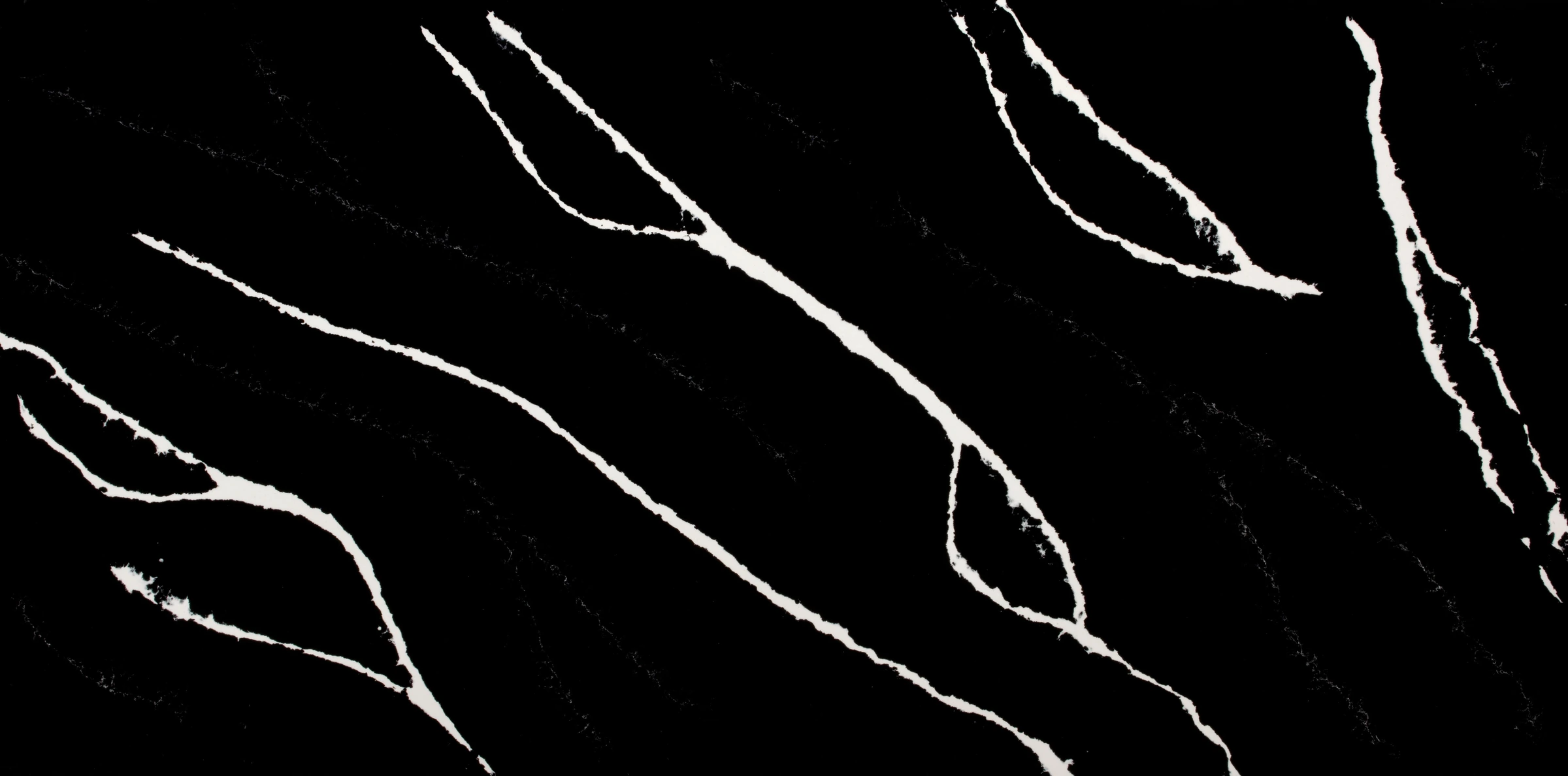 Marquina Lavagna