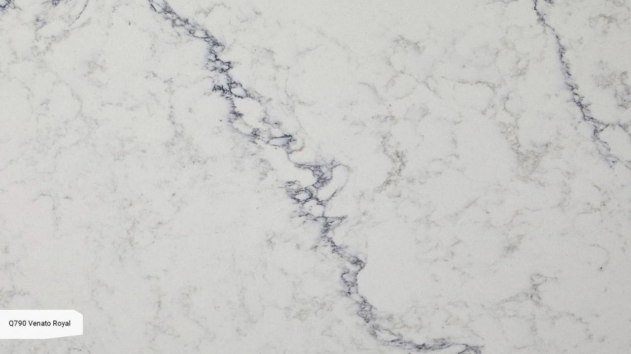 Venato Royal