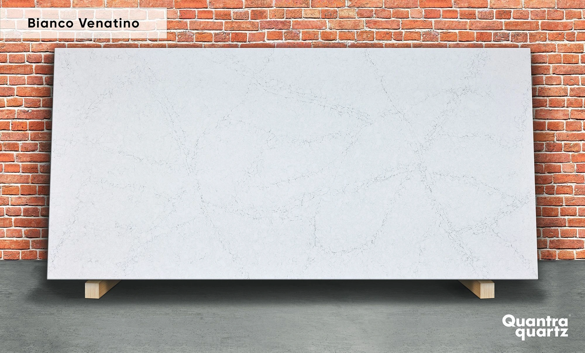 Bianco Venatino — пример работы